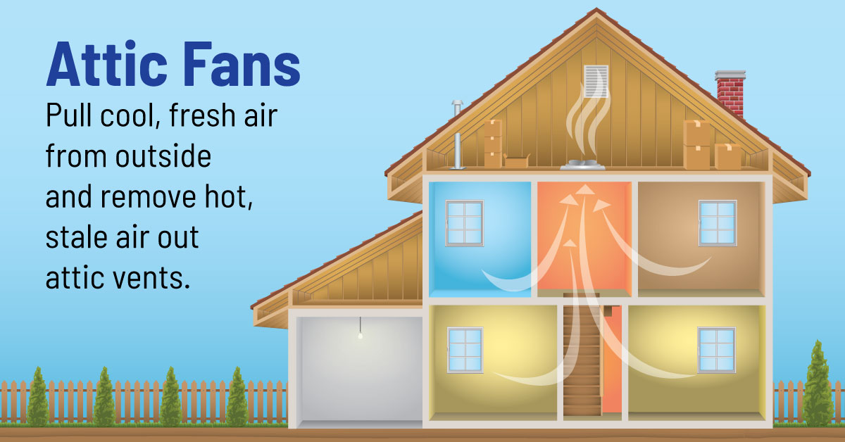 Your Home’s Lungs Feature Image