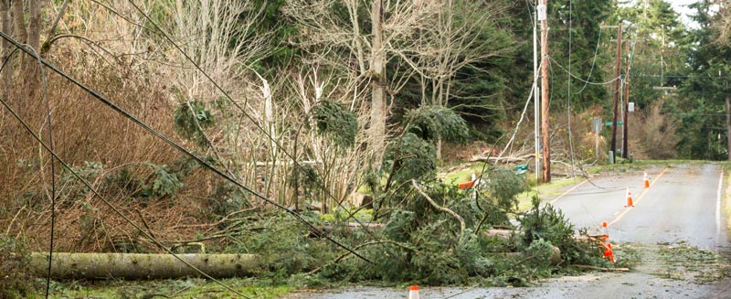 downed power lines