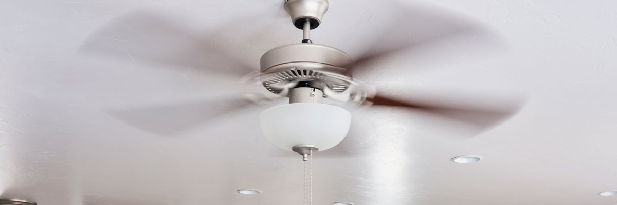 Ceiling Fans Feature Image