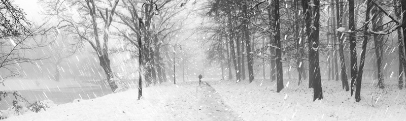 man walking in winter storm
